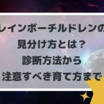 レインボーチルドレンの見分け方とは?診断方法から注意すべき育て方まで